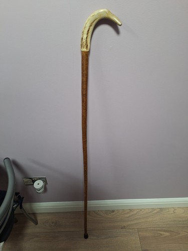 Antler walking stick - walking,