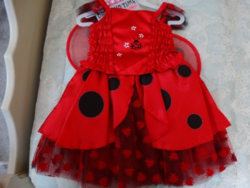 Girls ladybird costume - ladybird,