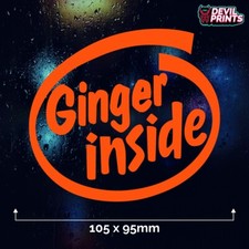 GINGER INSIDE Joke Car Vinyl
