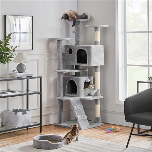 178cm tall cat - tall,