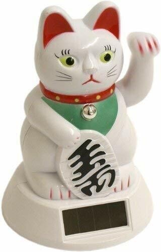 White chinese solar - white, cat