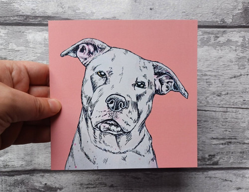 American bulldog greetings - american,