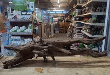 Large Corbo Root Aquarium