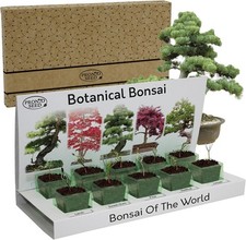 Bonsai Tree Kit | Grow Your Own Bonsai Tree | Gardening Gifts For Men | Women