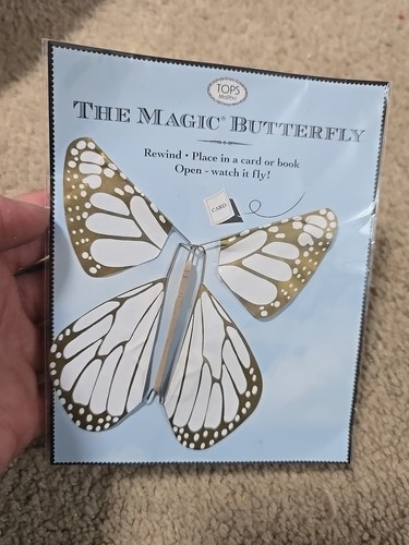 The magic butterfly - butterfly., wind