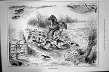 Antique Old Print 1886 Reynards Chances Fox Hunting Sport Hounds Dogs Horse