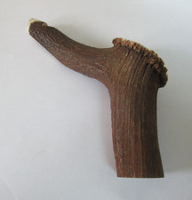 RED DEER STAGSHORN CORONET HANDLE WHISTLE AT END FOR WALKING STICK MAKING/STICKS