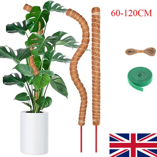 Moss pole for - pole, cheese