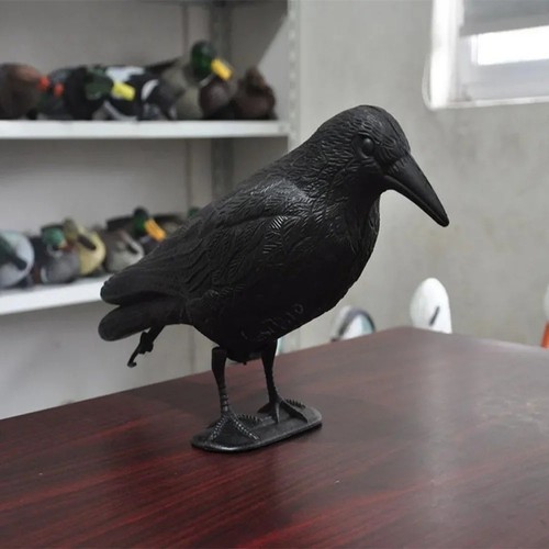 Life size crow decoy - size,