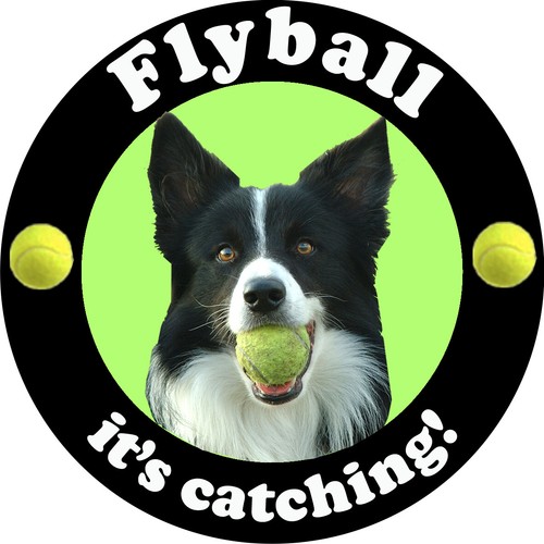 Flyball dog gift x double - dog,