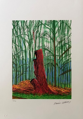 David hockney the arrival of - "the,