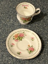 Elizabethan Staffordshire Bone