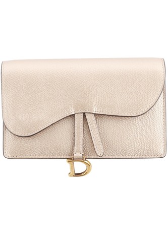 Christian dior metallic - metallic, saddle