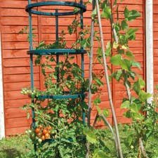 Plastic Growing Support for