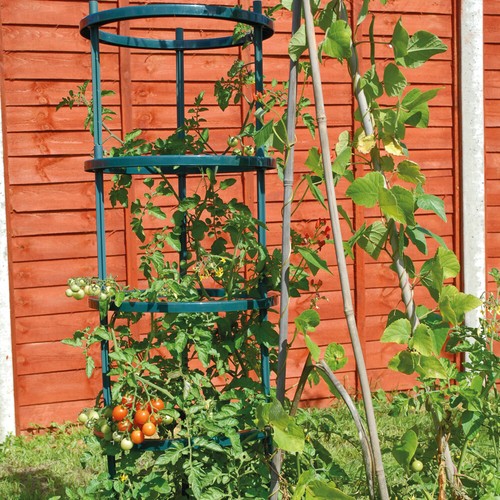 Plastic growing support for - growing,