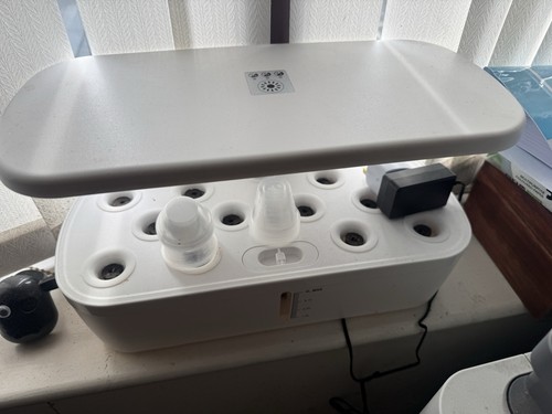 New indoor garden hydroponics - garden,