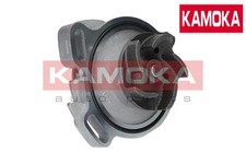 WATER PUMP T0275 KAMOKA I