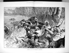 Old 1883 Mid-Kent Staghounds