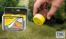 FS646 Woodland Scenics Accent