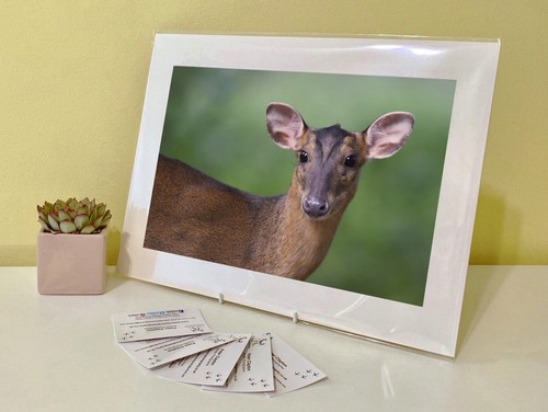 Art print image picture photo - art,