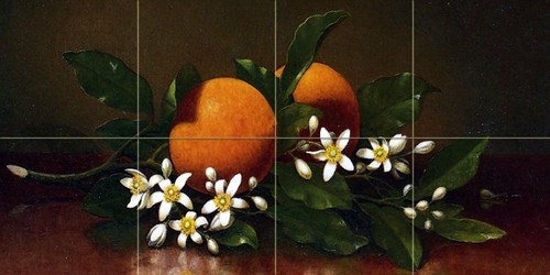Orange blossoms flower - orange,