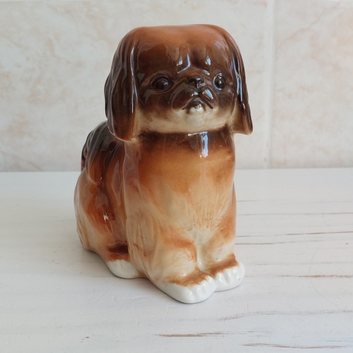 Lomonosov lfz pekingese dog - lfz,