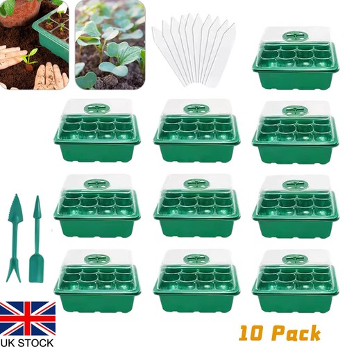10pcs holes seed starter - holes,