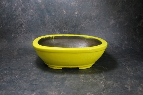 Genuine japanese bonsai pot - genuine,