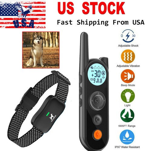 Electric dog fence 5905 - electric,