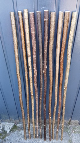 Hazel walking stick shanks - hazel,