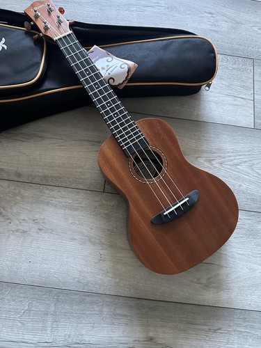 Donner ukelele inch - ukelele, 23