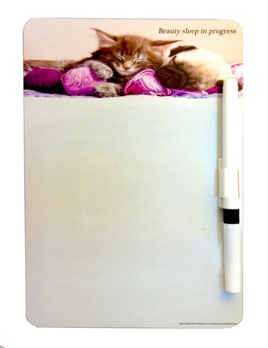 Cat dog magnetic memo - &,