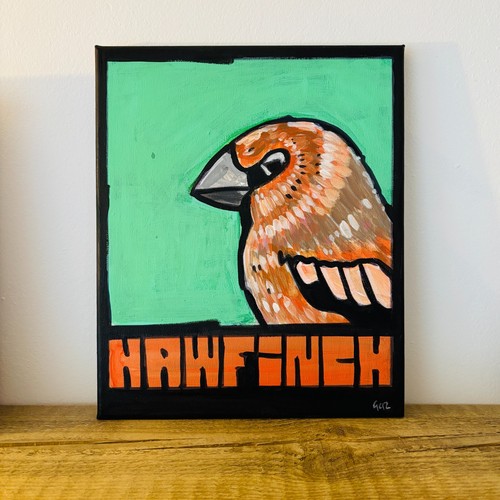 Original bullfinch bird - original,