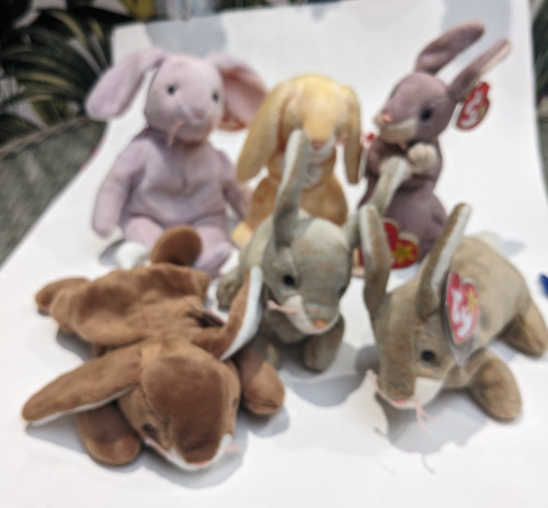 Beanie babies bundle - beanie,