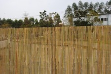 Natural Bamboo Slat Fence