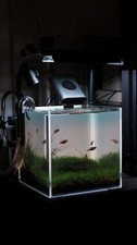 Clear Acrylic Rimless Aquarium