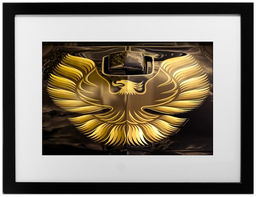 1979 pontiac firebird trans - 1979,