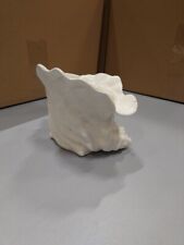 Ceramic Conch Shell Planter Beach Decor White Used
