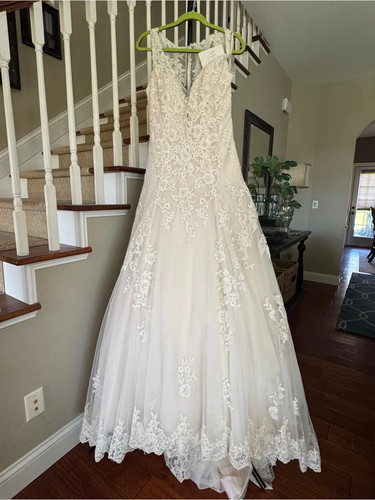 Mon cherri sophia - tolli, lace