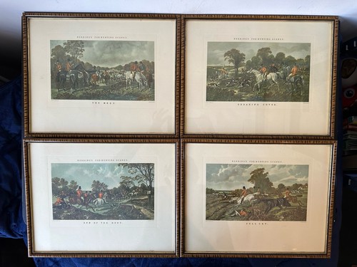 Herrings fox hunting - fox,