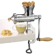 Stainless Steel Wheatgrass