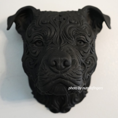 Black staffordshire bull - staffordshire,