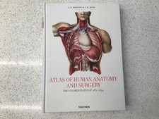 Atlas of Human Anatomy and