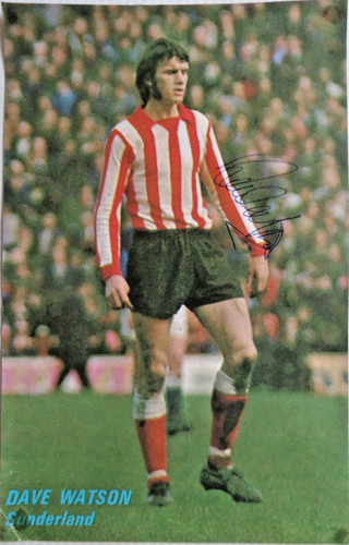 Dave watson sunderland - sunderland,