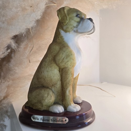 Juliana collection boxer - juliana, dog