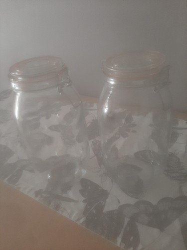 Large glass storage jars - jars,