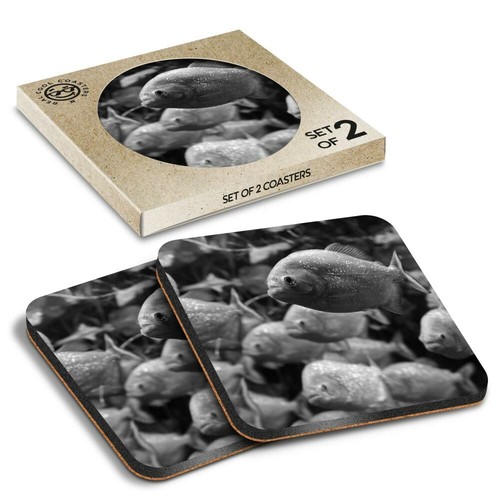 Boxed square coasters - x,