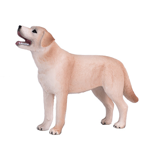 Labrador dog toy cute - dog, pets