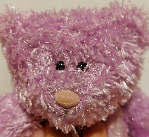 Bhs british home stores purple - bhs,