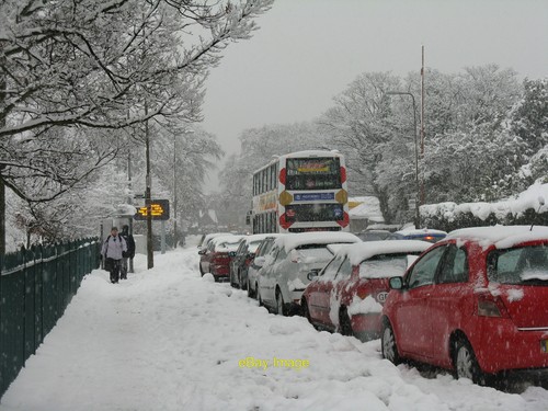 Photo 12x8 lothian - 12x8, buses